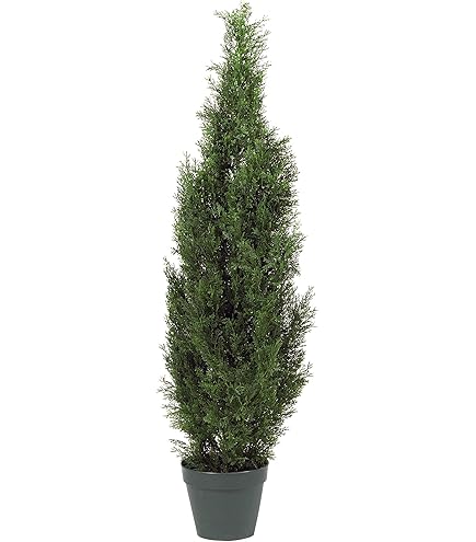 Amazon.com: Nearly Natural 5291 5ft. Mini Cedar Pine Tree (Indoor